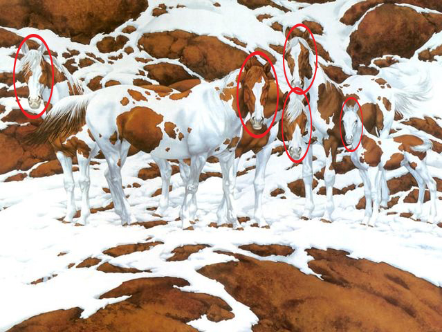 How many horses can you find in this tricky optical illusion.jpg